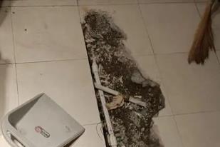 道真仡卫生间漏水检测电话